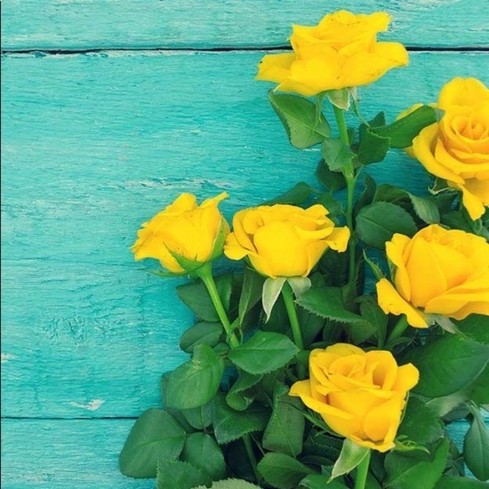 Meet your Posher, The Humble Yellow Rose
